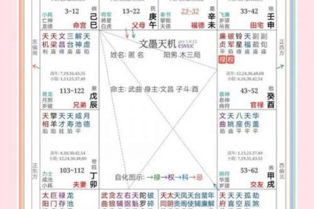 紫微斗数诸星落诸宫之：七杀星子女宫详解
