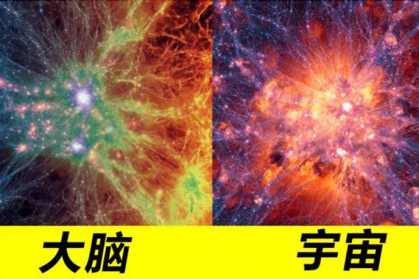 紫薇星系和天府星系的区别在哪里呢英语作文