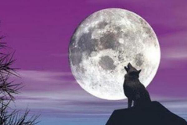 风水上天狗是什么意思象征意义