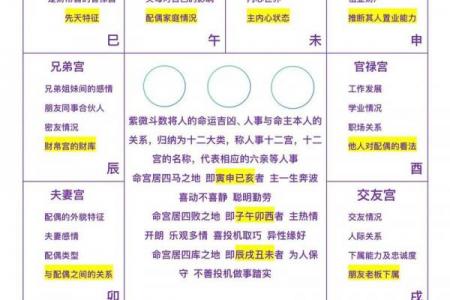 紫薇斗数看配偶年龄