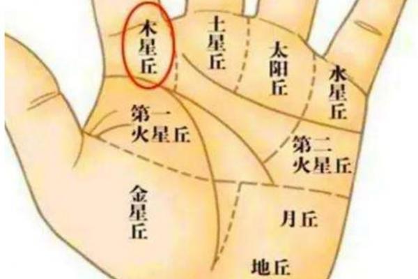 手相算命之十大手相富贵纹 手相算命之十大手相富贵纹