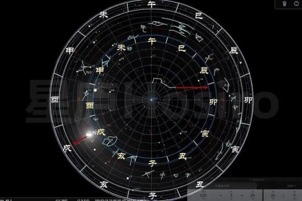 紫薇斗数显示青龙 紫薇斗数显示青龙