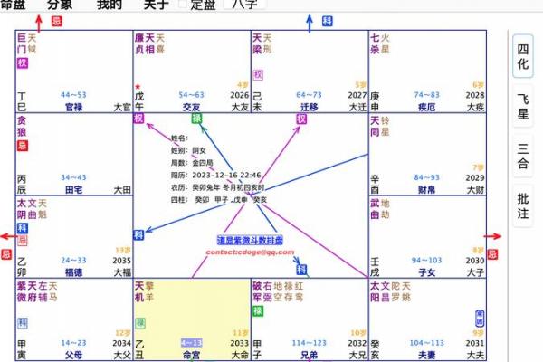 紫薇斗数显示青龙 紫薇斗数显示青龙