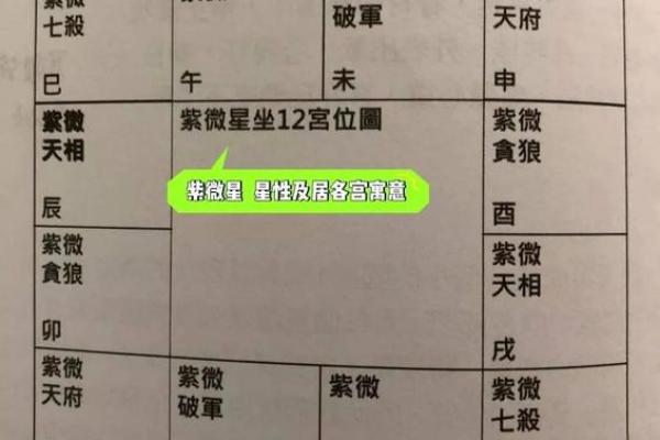 紫薇星七杀星在命宫