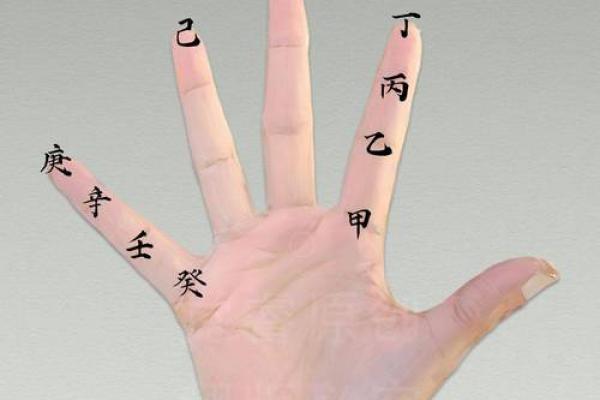 掐指一算，手指算命感情