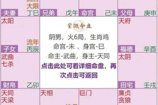 紫薇斗数体用宫