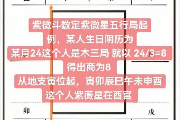 紫微斗数之诸星值限年运气推断：紫微星之限