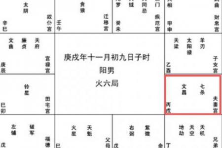 紫微斗数之夫妻宫与诸星，天府星在夫妻宫是什么意思？