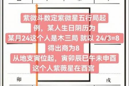 紫微斗数之诸星值限年运气推断：紫微星之限