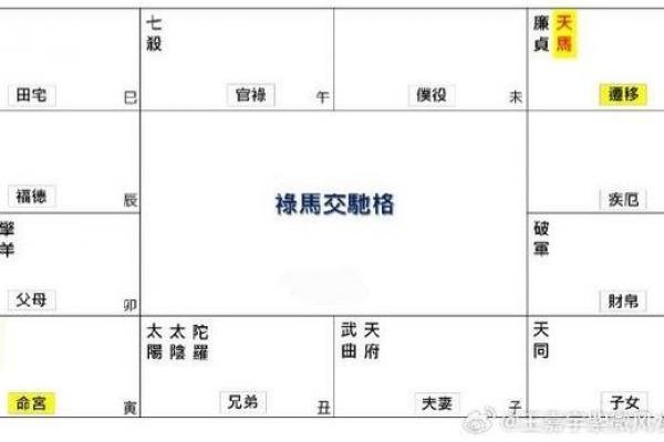 紫薇斗数男人禄存