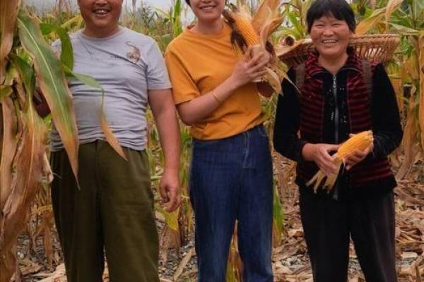 回乡创业，八字还没一撇就被支书要走3万 纪委出手了