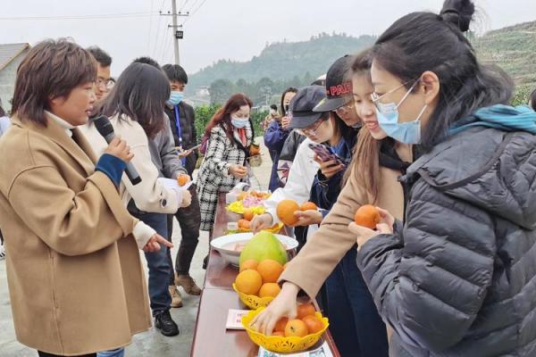 回乡创业，八字还没一撇就被支书要走3万 纪委出手了