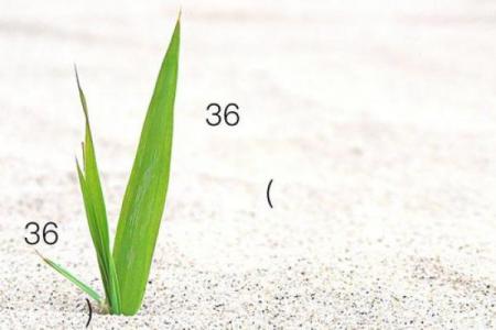 观音灵签83求子