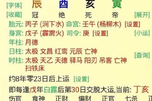 丁酉丙午癸酉丁巳，解析八字命盘的五行属性和性格特点