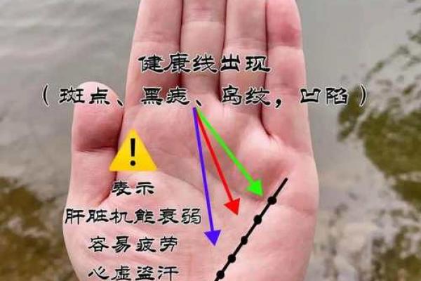 看手相算命：第五课 论健康