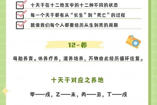 八字里养 八字里养