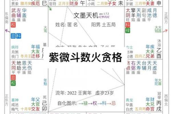 紫薇斗数科 紫薇斗数科