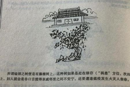 宅基地风水_扭转宅基地是什么意思