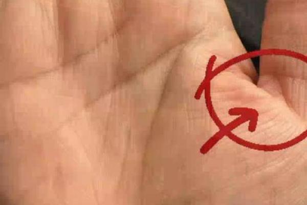 手相算命:假夫子眼的命运如何 手相算命:假夫子眼的命运如何