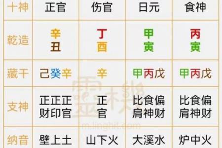 己亥生辰八字详解大全女命