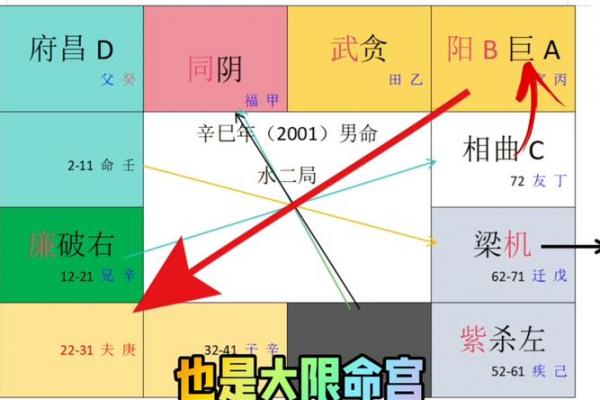 一梦江湖中紫微斗数怎么玩 一梦江湖武当紫薇九耀？