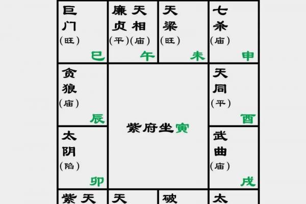 紫薇命盘疾厄宫廉贞天相