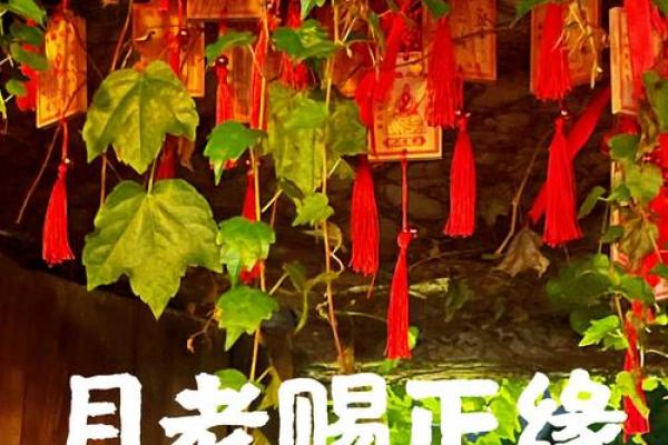 月老求姻缘的句子 月老求姻缘的句子图片？