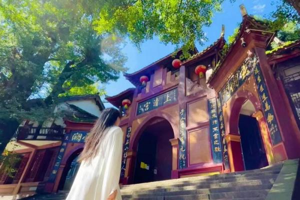 洛阳市哪有算命