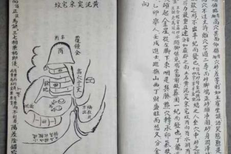 诰命夫人同八字不同命