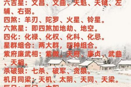 紫微斗数诸星落诸宫之：巨门星奴仆宫详解