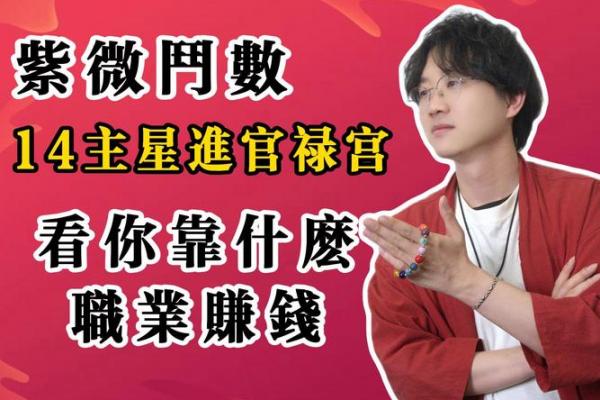 紫薇斗数中官禄 紫薇斗数中官禄