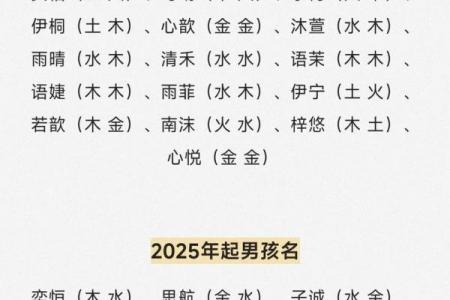 测名字五行免费测试,取名打分免费测试五行