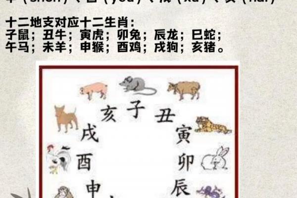 生肖时辰算命哪个时辰属于你的生肖能揭示你的命运 生肖时辰算命哪个时辰属于你的生肖能揭示你的命运