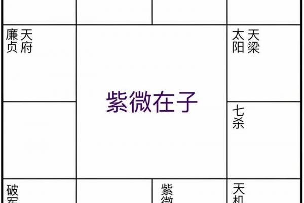 紫薇斗数副旬 紫薇斗数副旬