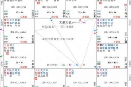 紫微斗数诸星落诸宫之：太阴星子女宫详解