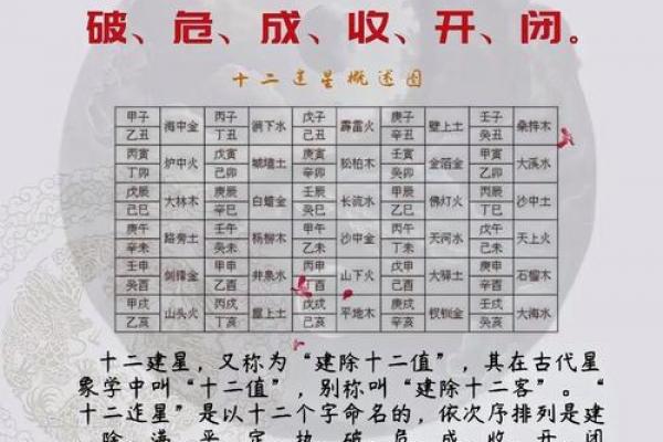 八字初学者