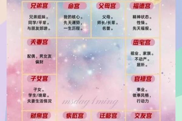 紫薇斗数会照什么意思