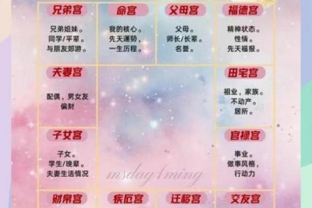 紫薇斗数会照什么意思