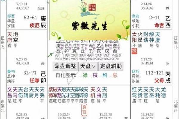 关于紫薇斗数软件安卓破解版的信息 关于紫薇斗数软件安卓破解版的信息