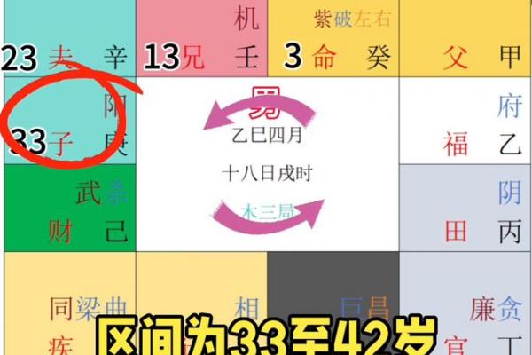 关于紫薇斗数软件安卓破解版的信息 关于紫薇斗数软件安卓破解版的信息